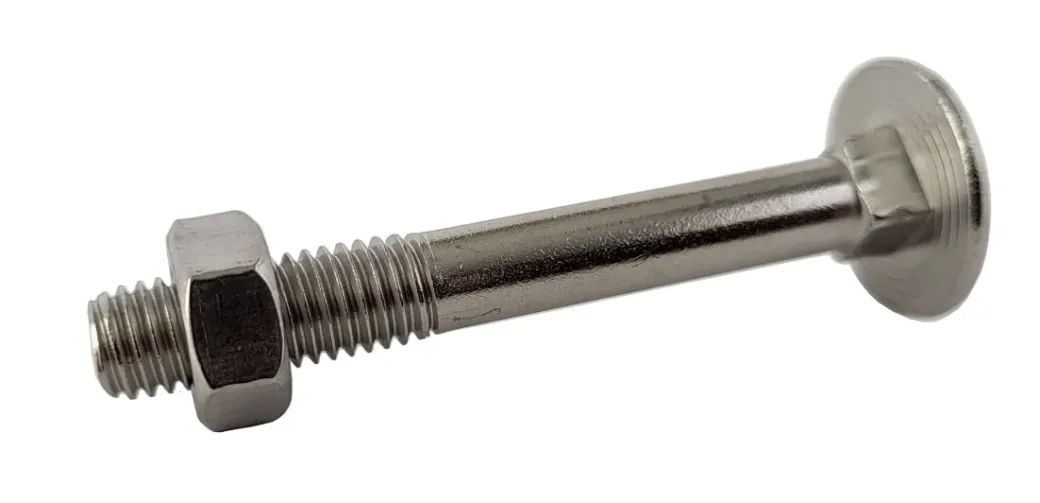 Brico Bouten-Sencys Slotbout + Rvs Moer M6X60Mm 5St
