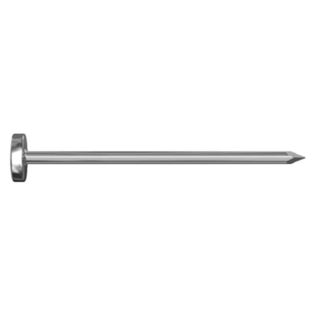Brico Nagels-Sencys Spijker Met Platte Kop Roestvrij Staal 20 X 1,8 Mm - 80 Stuks