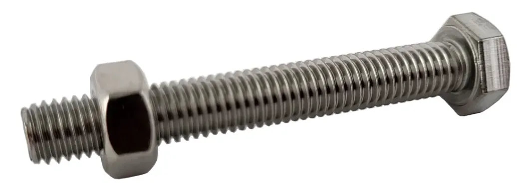 Brico Bouten-Sencys Zeskantbout + Rvs Moer M5X16Mm 10St