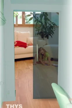 Brico Schuifdeuren-Thys Veiligheidsglas Schuifdeur 'Thytan Sliding' Grijs Gerookt 215X93Cm