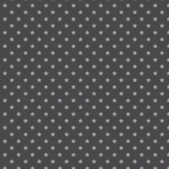 Transform Zelfklevende Decoratiefolie Stars Grijs 45X200Cm|Brico Hot