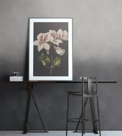 Brico Fotobehang-Vanilla Lime Fotobehang 14268